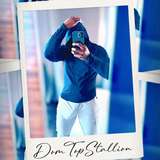 domtopstallion