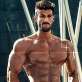harrymuscle