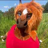 rain_horsie
