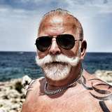 silverfox.3.0