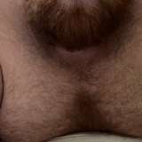 theunderwearbear
