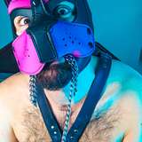 puppybearcub