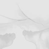 myfeet.tofeel