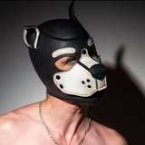 ryder_stryker