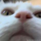 339291165452935168