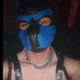 pupcoomaxxx